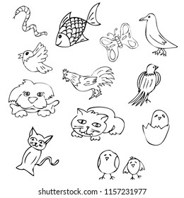 vector simple hand draw sketch bird, fish chicken, cat, egg, butterfly, worm, snake, rooster