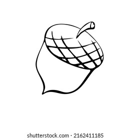 Vector simple hand drawn illustration of a acorn isolated on white background, black outline. Nature, forest clip art, black and white Doodle.