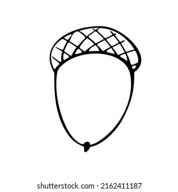 Vector simple hand drawn illustration of a acorn isolated on white background, black outline. Nature, forest clip art, black and white Doodle.