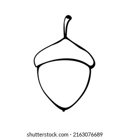 Vector simple hand drawn illustration of a acorn isolated on white background, black outline. Nature, forest clip art, black and white Doodle.