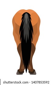 Vector simple horse back legs with long tail, croup part of body