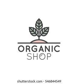 Vector Simple Icon Style Illustration Logo for Organic Shop or Market, Minimal Simple Badge with Leafs and Trees