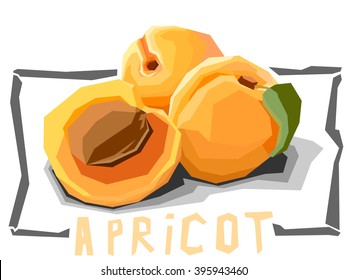 Vector simple illustration of apricots with half in angular cartoon style.