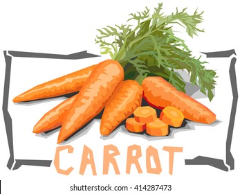 Vector simple illustration of carrots with slices in angular cartoon style.