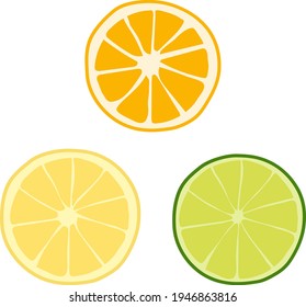 vector simple illustration citrus fruit