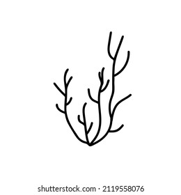 Vector simple illustration with Corals on white isolated background.Ocean,Summer underwater animal hand drawn in doodle style.Design for postcards,stickers,packages,social media,web,coloring.