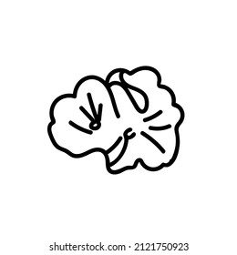 Vector simple illustration with Corals on white isolated background.Ocean,Summer underwater animal hand drawn in doodle style.Design for postcards,stickers,packages,social media,web,coloring.