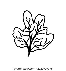 Vector simple illustration with Corals on white isolated background.Ocean,Summer underwater animal hand drawn in doodle style.Design for postcards,stickers,packages,social media,web,coloring.