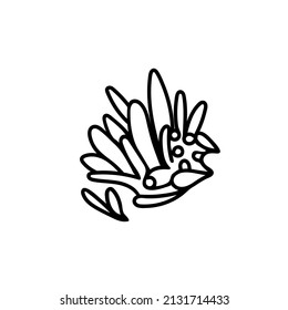 Vector simple illustration with Corals on white isolated background.Ocean,Summer underwater animal hand drawn in doodle style.Design for postcards,stickers,packages,social media,web,coloring.