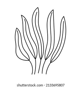 Vector simple illustration with Corals on white isolated background.Ocean,Summer underwater animal hand drawn in doodle style.Design for postcards,stickers,packages,social media,web,coloring.