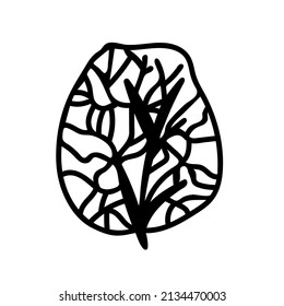 Vector simple illustration with Corals on white isolated background.Ocean,Summer underwater animal hand drawn in doodle style.Design for postcards,stickers,packages,social media,web,coloring.