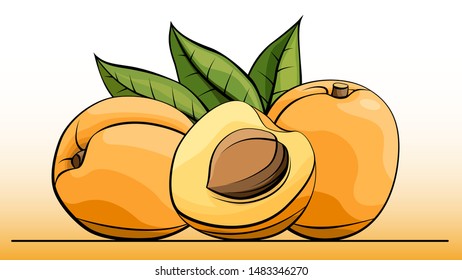 Vector simple illustration group of apricots with half on line (side view).