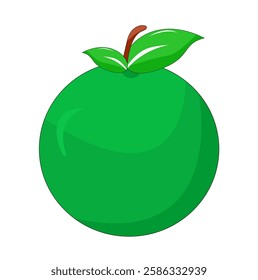 vector simple illustration of lime