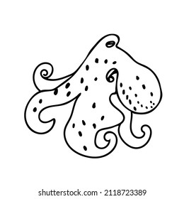 Vector simple illustration with Octopus on white isolated background.Ocean,Summer underwater animal hand drawn in doodle style.Design for postcards,stickers,packages,social media,web,coloring.