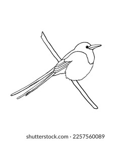 Vector simple illustration of an ordinary magpie sitting on a branch. The bird is drawn in the style of doodles.