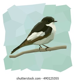 Vector simple illustration of pied flycatcher bird on branch in angular cartoon style.