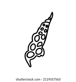 Vector simple illustration with Shell on white isolated background.Ocean,Summer underwater animal hand drawn in doodle style.Design for postcards,stickers,packages,social media,web,coloring.