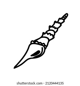 Vector simple illustration with Shell on white isolated background.Ocean,Summer underwater animal hand drawn in doodle style.Design for postcards,stickers,packages,social media,web,coloring.