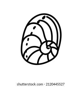 Vector simple illustration with Shell on white isolated background.Ocean,Summer underwater animal hand drawn in doodle style.Design for postcards,stickers,packages,social media,web,coloring.