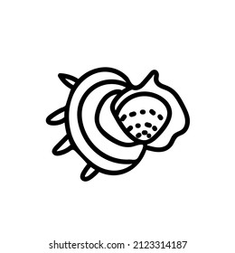 Vector simple illustration with Shell on white isolated background.Ocean,Summer underwater animal hand drawn in doodle style.Design for postcards,stickers,packages,social media,web,coloring.