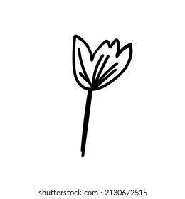 Vector simple illustration Spring flowers with black line for Easter hand drawn. Single botanical holiday picture in doodle style.  Design for stickers, social media, cards, packaging, printing.