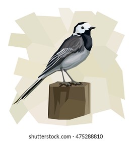 Vector simple illustration of wagtail bird on wooden post  in angular cartoon style.