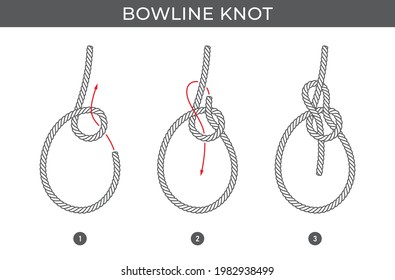 Vector simple instructions for tying a Bowline knot. Three steps. Isolated on white background.