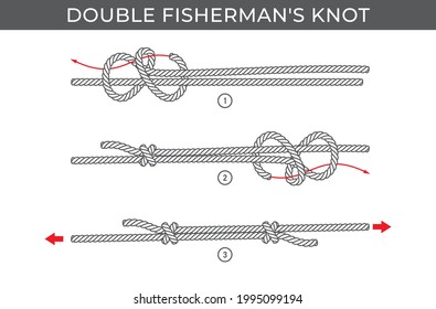 Vector simple instructions for tying a Double fishermans knot. Three steps. Isolated on white background.