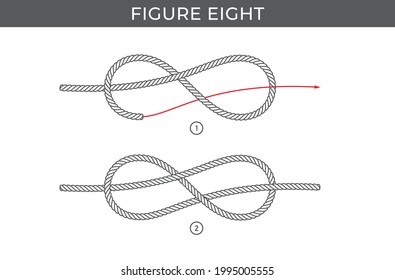 Vector simple instructions for tying a Figure eight knot. Two steps. Isolated on white background.