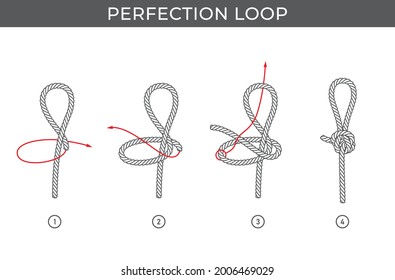 Vector simple instructions for tying a Perfection loop. Four steps. Isolated on white background. svg