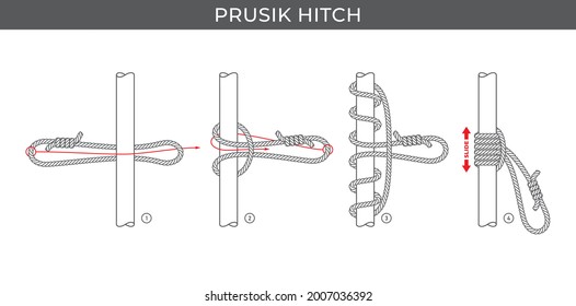 Vector simple instructions for tying a Prusik hitch. Four steps. Isolated on white background.