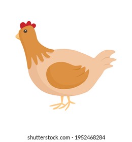 Vector simple isolated illustration on white background. Cartoon picture of a brown hen or chicken. Children design element