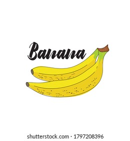 Imagen vectorial aislada de una fruta bananera. Ilustración de un bosquejo de plátano en forma de ataque con el título "banana".