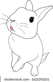 vector of simple line draw cute little minirex rabbit standing and begging eye