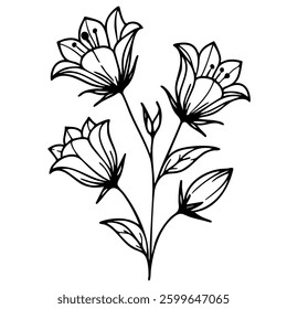A vector simple line drawing of three bellbellflowers with leaves, showcasing their delicate petals and stems.