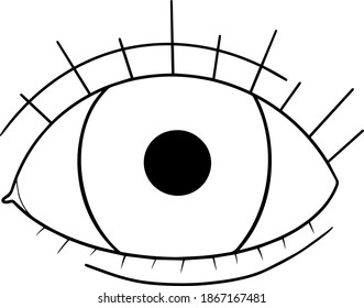 vector simple lineart icon with open eye and eyelashes black and white