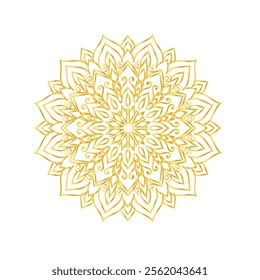 vector simple mandala background design