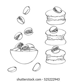 vector simple outline sketch of pistachio nuts and macaroon cookies