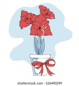 vector simple sketch of amaryllis flower in pot with knot