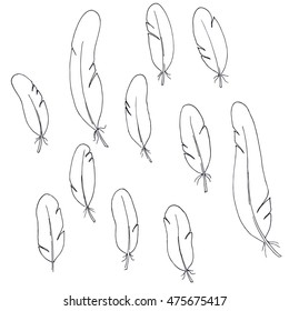 vector simple sketch illustration of silhouette of feathers