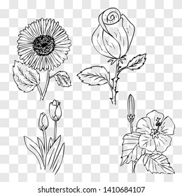 vector simple sketch of tulip,rose, tulip, hibiscus flower 