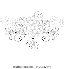 Vector simple tropical sin costuras borde de verano, patrón con flores plumeria. Adorno gráfico dibujado a mano. Silueta del circuito negro