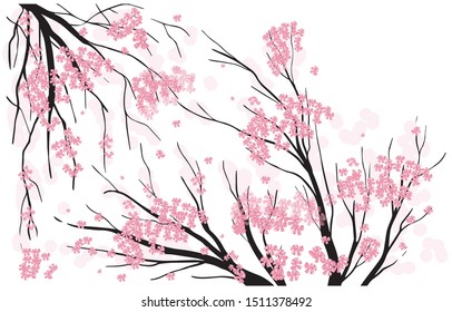 vector simplified illustration of stylized sakura branches isolated on white.