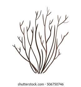 Vector Single Bare Brown Bush on White Background