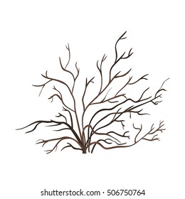 Vector Single Bare Brown Bush on White Background