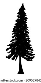 Vector Single Black Silhouette of Spruce