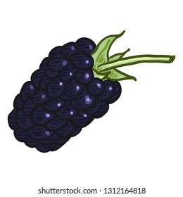 Vector Single Cartoon Blackberry