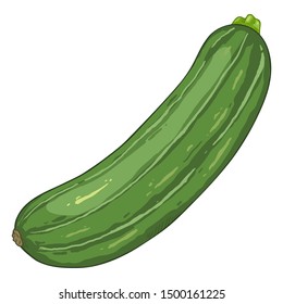 Vector Single Cartoon Dark Green Zucchini