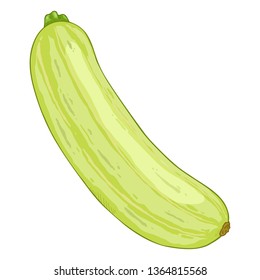 Vector Single Cartoon Green Zucchini