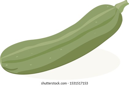 Vector Single Cartoon Green Zucchini. Zucchini on the white backgraund